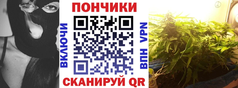Купить закладку А ПВП  Мефедрон  Кокаин  Гашиш  Каннабис  Нолинск