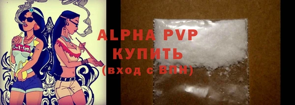 амф Верея