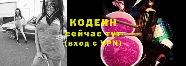 индика Верхний Тагил