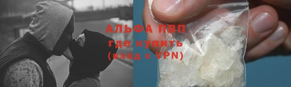 ПСИЛОЦИБИНОВЫЕ ГРИБЫ Волоколамск
