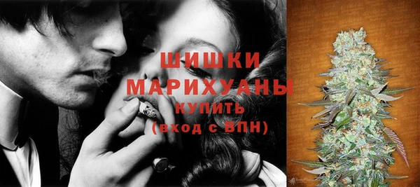 амф Верея