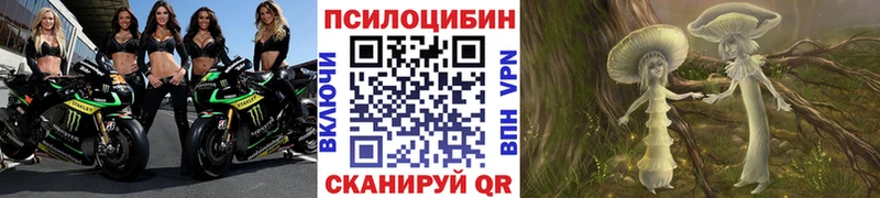 Галлюциногенные грибы GOLDEN TEACHER  Купить  Нолинск 